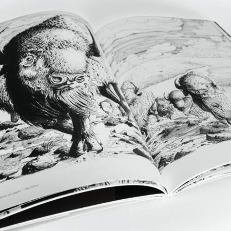 Livre d'art "AstrOlabe" – Image 9